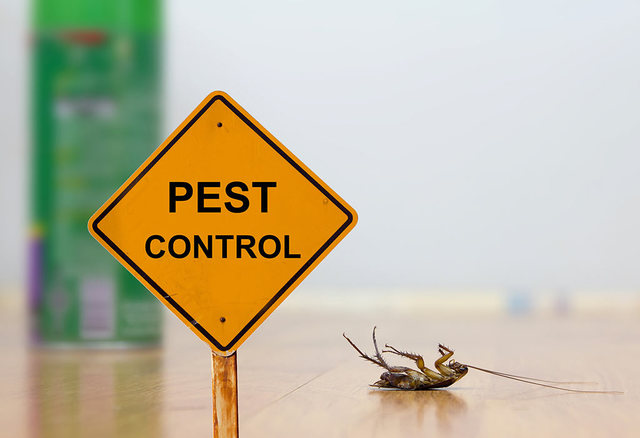 pest control Best pest control company near me