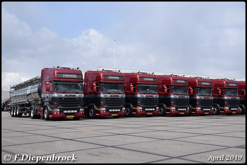 Scania Line up Transportbrug5-BorderMaker - 2019