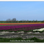 DSC 5034-BorderMaker - Richard