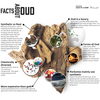 6 Facts about oud - Picture Box