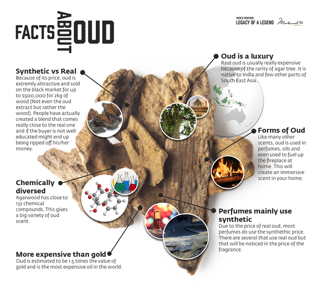 6 Facts about oud Picture Box