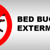 Affordable Bed Bug Exterminators