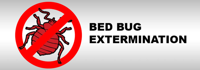 Affordable Bed Bug Exterminators6 Affordable Bed Bug Exterminators