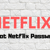 forgot Netflix Password - forgot Netflix Password
