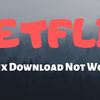 Netflix Download Not Working