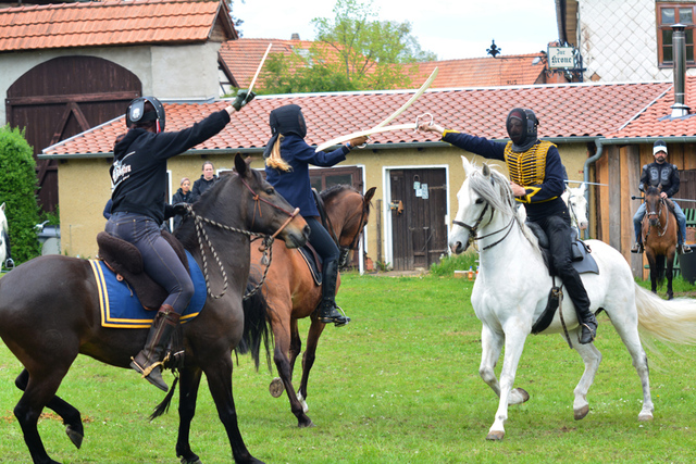 33 balingehofforum