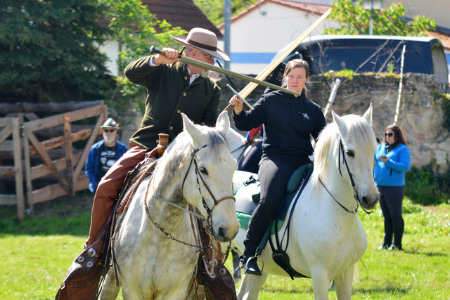 36 balingehofforum