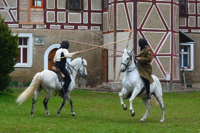 48 balingehofforum