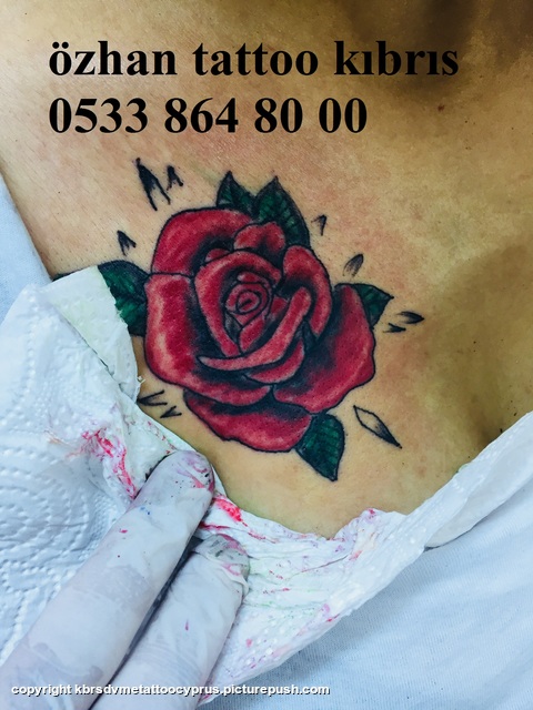 1b50399b-38c1-44a9-bcff-ef6465732779 20.5.19 kibrisdovme,tattoo cyprus