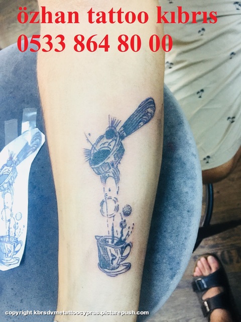 8998dbb7-2ef5-43da-8732-fde78c1d92fe 20.5.19 kibrisdovme,tattoo cyprus