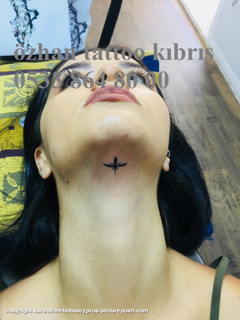 fabebeb1-b557-4b57-948e-d768a1b5c9f8 20.5.19 kibrisdovme,tattoo cyprus