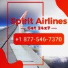 Artboard 1 copy 3 - 1877-546-7370 Spirit Airlin...