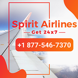 Artboard 1 copy 3 1877-546-7370 Spirit AirlinesÂ© Support Number