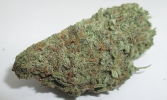 Buy Marijuana Edibles Canada Cheap Weed Online