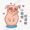 psd-cute-pig-pig-funny-expr... - Picture Box
