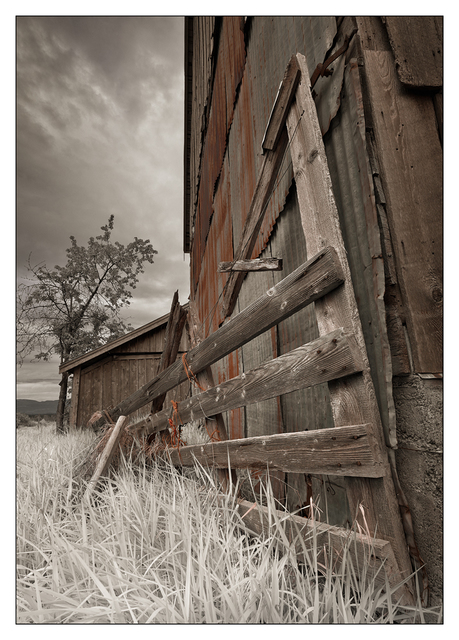 Old Barn 2019 5 Black & White and Sepia