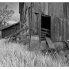 Old Barn 2019 4 - Black & White and Sepia
