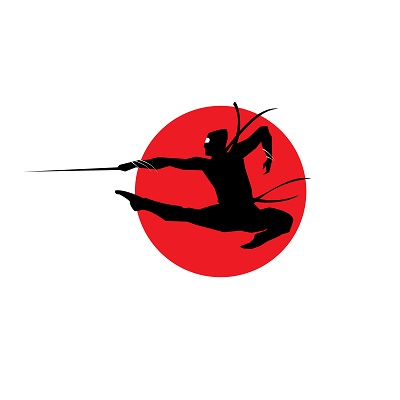 SEO-Ninjas-logo 400 Picture Box