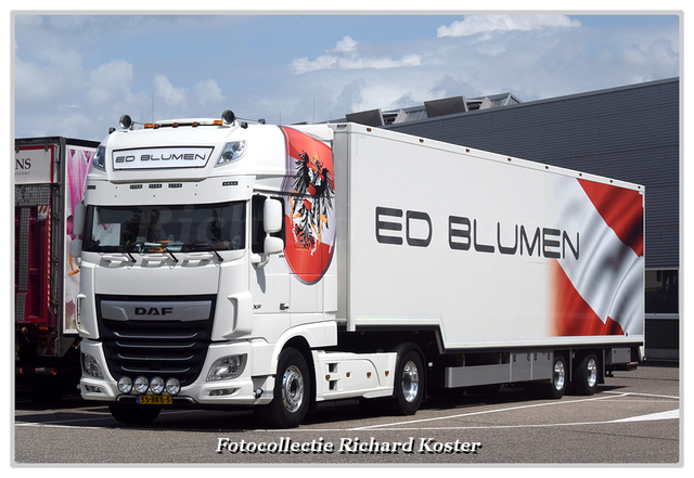 Ed Blumen 55-BKB-5 (0)-BorderMaker Richard