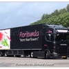 Floribunda 06-BNJ-7 (3)-Bor... - Richard