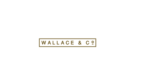 Wallace&Co Logo - Copy - Copy - Anonymous