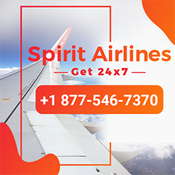 Spirit Airlines Size   Small 1877-546-7370  Spirit Airlines Customer Service