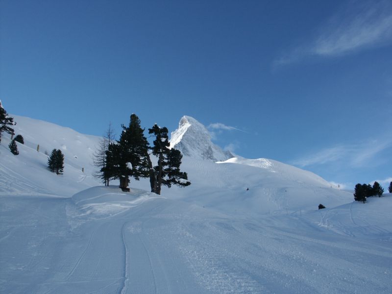 Immagine 022 [800x600] - 