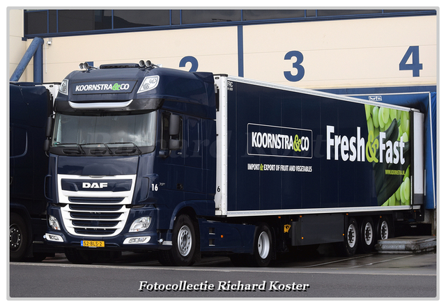 Koornstra & Co 52-BLS-2-BorderMaker Richard