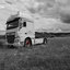 Spedition Bruders powered b... - Spedition Roswitha Bruders, Wilnsdorf, powered by www.truck-pics.eu. #truckpicsfamily