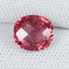 3996-SAP-A - 7/7/19