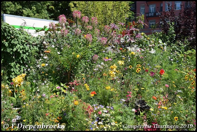 DSC 0150-BorderMaker Camper rondreis Thuringen 2019