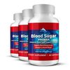 Blood Sugar Premier Ingredients – Are they safe and effective?