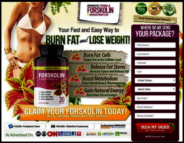 Healthy Feel Forskolin Picture Box