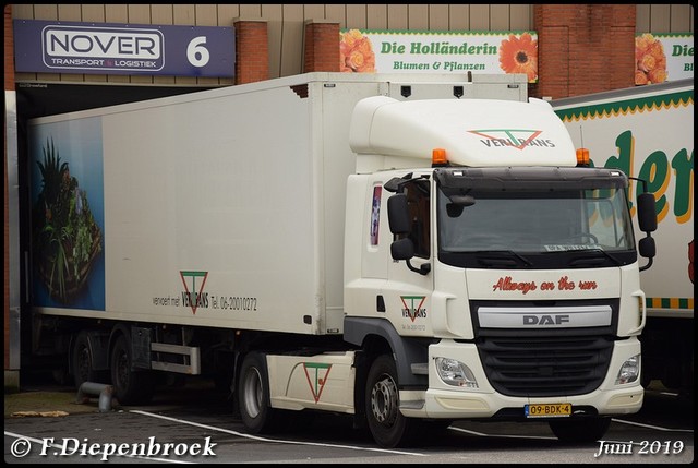 09-BDK-4 DAF CF Veritrans-BorderMaker 2019