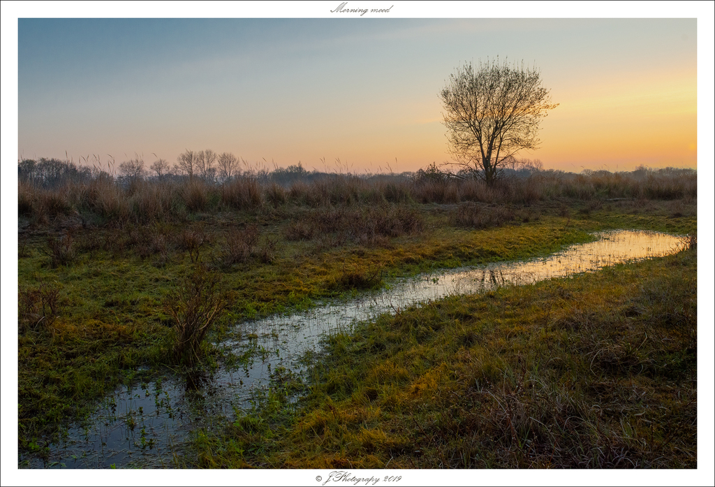  DSC0063 Morning mood - 