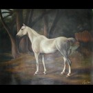 pg- 334  manoj soni  standing horse  size-22 x 27  Picture Box