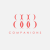 888 Companions Miami Beach - Picture Box