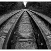 Rosewall Tracks 2019 2 - Black & White and Sepia