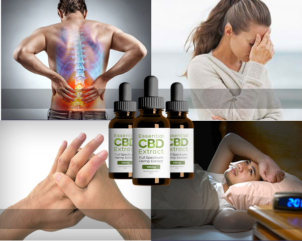 banner3 Essential CBD Extract : Ayuda a reducir el dolor y la fatiga.
