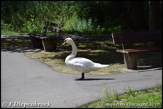 DSC 0606-BorderMaker Camper rondreis Thuringen 2019