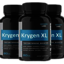 Krygen-XL - Disadvantages of Krygen XL (Keygen XL)
