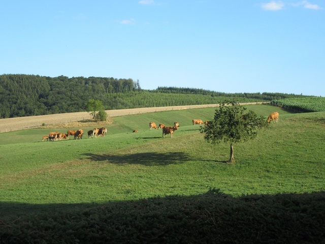 13 Luxemburg 2019