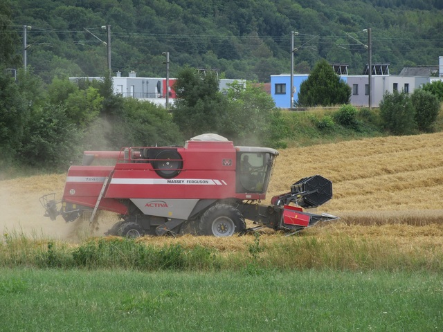 29 Luxemburg 2019