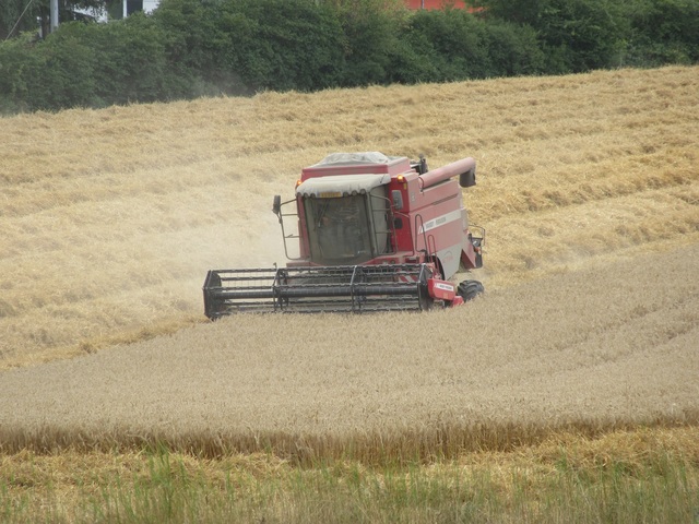 31 Luxemburg 2019