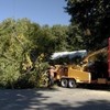 Tree Service Contractors in Alexandria VA