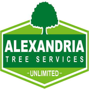 Alexandria Tree Services Vi... - Anonymous