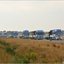 DSC 0258-border - 2019-07-28