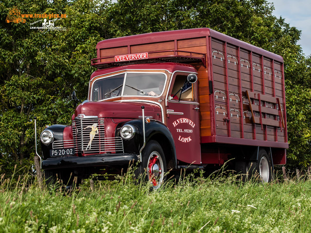 Nog Harder Lopik powered by www.truck-pics Nog Harder Lopik 2019 at Salmsteke powered by www.truck-pics.eu / #truckpicsfamily