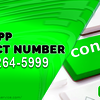 Cash App Contact Number