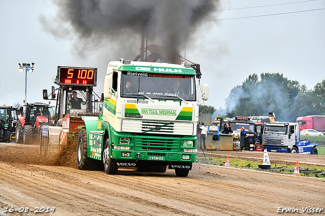 16-08-2019 Hoogblokland 261-BorderMaker 16-08-2019 Hoogblokland